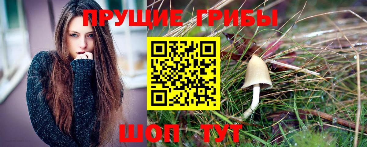 Псилоцибиновые грибы Psilocybine cubensis  Вход с VPN  Урус-Мартан 